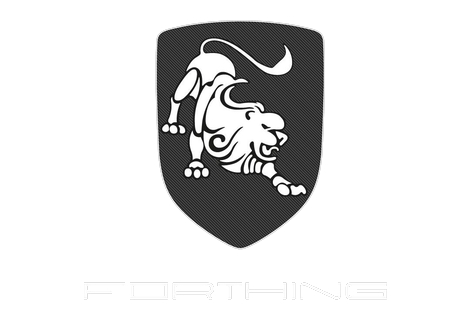 Forthing - Sebauto Achat - Vente véhicules neufs et occasion